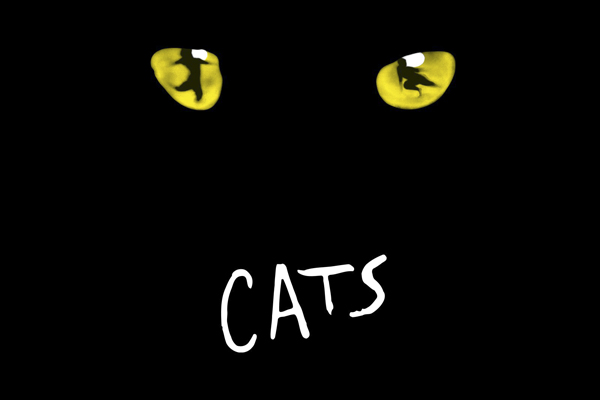 CATS Foto: Philharmonie Köln